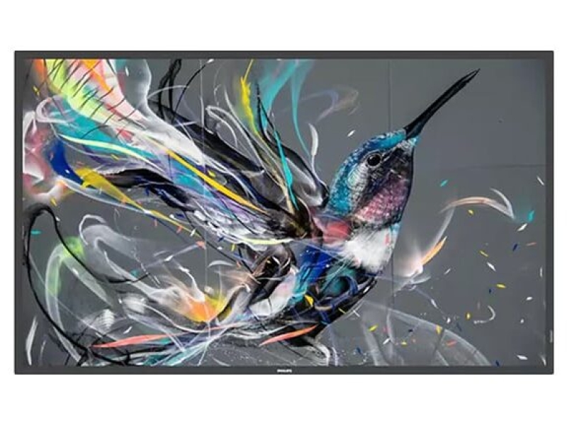 Philips Q-Line 55 inch <br> </br>