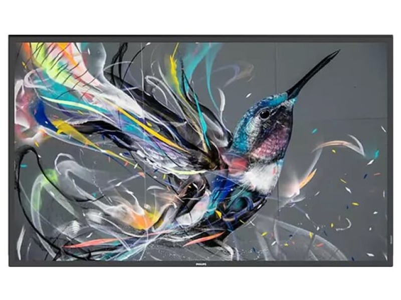 Philips Q-Line 65 inch <br> </br>