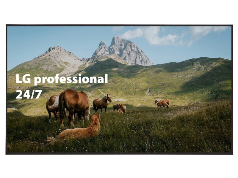LG Professional Display 49 inch 24/7 met berglandschap op scherm
