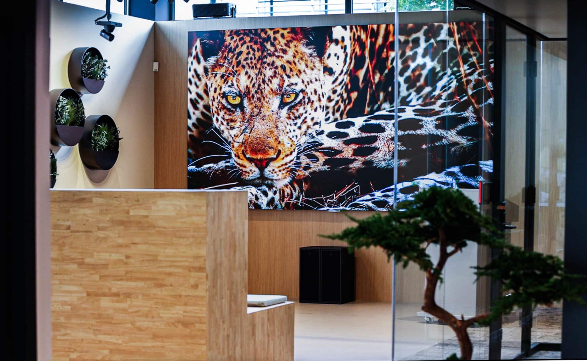 Showroom Houten LED Wall met natuurafbeelding