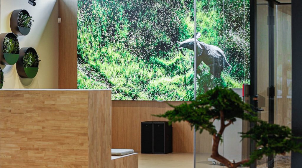 Indoor LED in Limid Showroom Houten, met een natuurbeeld.